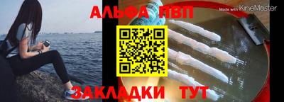 спайс Гай