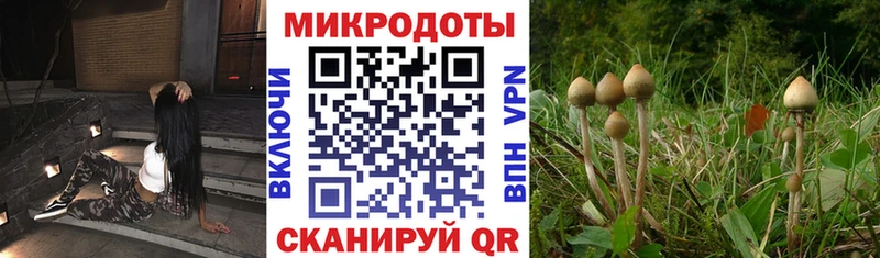 где купить наркоту  Ирбит  Псилоцибиновые грибы GOLDEN TEACHER 