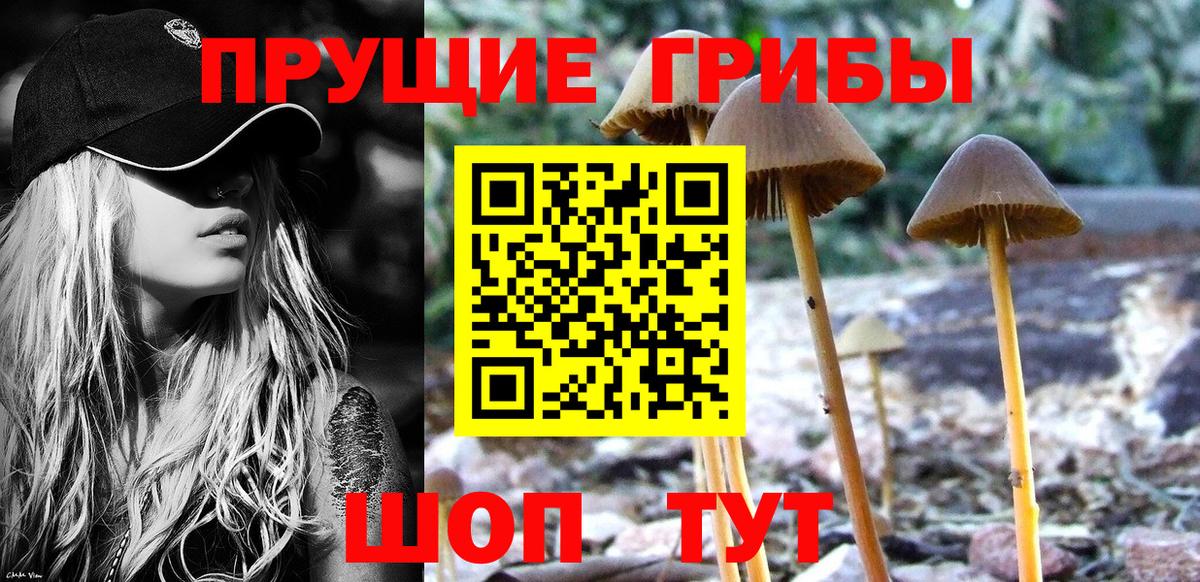 Галлюциногенные грибы мухоморы  Вход с VPN  Ирбит 
